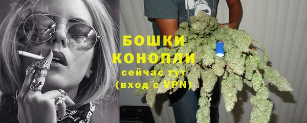 бошки Гатчина